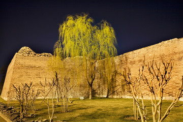 Wall Mural - City Wall Park with Willow Tree Beijing China