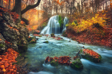 Sticker - Autumn forest with waterfall at mountain river at sunset. Colorful landscape with trees, stones, waterfall and vibrant red and orange foliage. Nature background. Fall woods. Beautiful blurred water