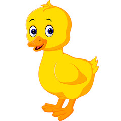 Sticker - Cute baby duck cartoon