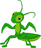 Fototapeta Dinusie - grasshopper cartoon