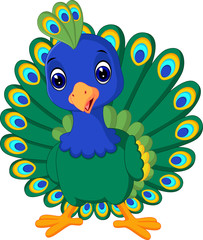 Sticker - Beautiful peacock