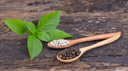 Sweet Basil , White with black pepper on wood spoon,wooden backg