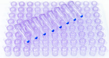 Researcher Prepares The PCR Tubes To Amplify The Target Gene 
