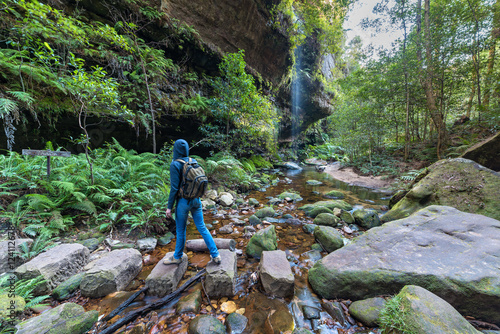 Fotografia, Obraz Woman hiking in wilderness of rainforest