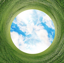 Panoramic Projection Of A Green Field