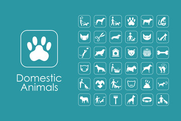 Wall Mural - set of domestic animals simple icons