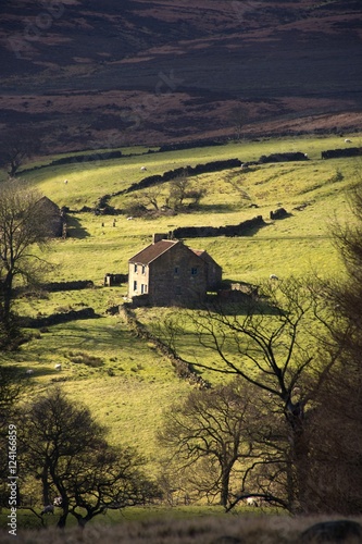 dom-w-wsi-north-york-moors-north-yorkshire-anglia