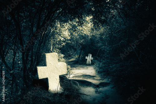 Fotografie, Obraz Dark night spooky landscape with abandoned graves and memory stones in haunted mysterious forest