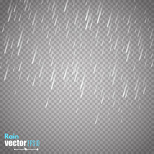 Vector Rain Isolated On Transparent Background.  