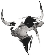 Black And White Monochrome Painting With Water And Ink Draw Bull Illustration