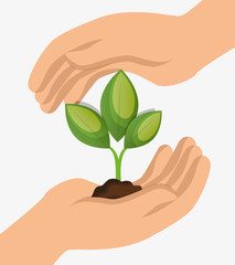 Wall Mural - environment concept hand hold plant icon design vector illustration eps 10
