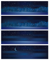 Wall Mural - vector winter night backgrounds.