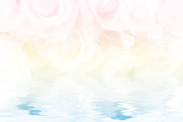 Wall Mural - soft and blurred focus rose flower on vintage pastel filter styl