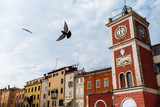 Clock Tower with bird On The Tito Square in the center of the historic European city Rovinj in Croatia
