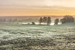 The first frost in the fields. Misty autumn morning.
