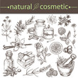 natural cosmetics hand drawn collection