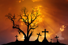 Scary Silhouette Dead Tree And Spooky Silhouette Crosses In Mystic Graveyard  With Halloween Concept Background