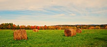 Autumn Hay Harvest