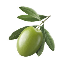 Green Single Olive 1 Isolated On White Background