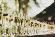Glasses Of Champagne In A Row;Pemberton British Columbia Canada