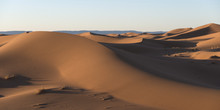A Landscape Of Drifting Sand
