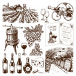Traditional vinery production hand drawn