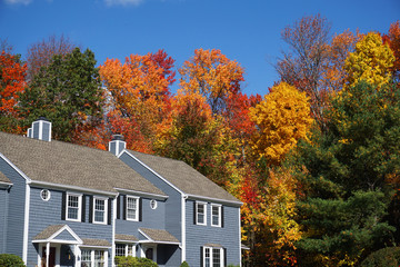 Wall Mural - apartment building with colorful autumn trees in sunny day