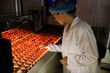 © Wavebreak Media - Female staff examining eggs in lighting control quality