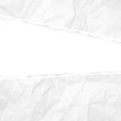 © Ann Lou - White crumpled texture paper background with torn edges. Vector illustration.