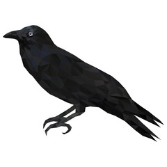 Low poly illustration of black raven. Black bird crow - isolated decorative element. To make halloween decorations.