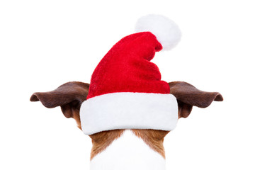 Poster - christmas santa dog