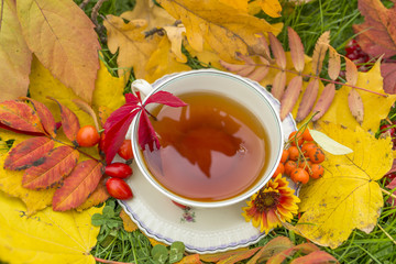 Canvas Print - autumn still life with a cup of tea