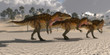 Acrocanthosaurus Dinosaurs - Acrocanthosaurus theropod dinosaurs band together to search for prey in the Cretaceous period.