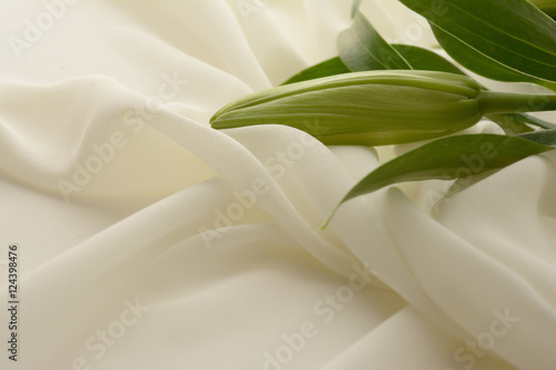 百合の花 白布背景 Buy This Stock Photo And Explore Similar Images At Adobe Stock Adobe Stock 百合の花 白布背景 Buy This Stock Photo And Explore Similar Images At Adobe Stock Adobe Stock