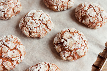 Canvas Print - Chocolate crinkle cookies