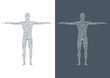 © berCheck - Structure molecule of man. Abstract model human body DNA . Medicine, science and technology. Scientific Vector for your design.