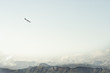 Rocky Mountains and flying eagle bird Landscape minimalistic style scenic aerial view