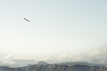 Wall Mural - Rocky Mountains and flying eagle bird Landscape minimalistic style scenic aerial view