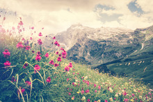 Rocky Fisht Mountains And Green Alpine Valley With Blooming Pink Flowers Landscape Summer Travel Scenic View
