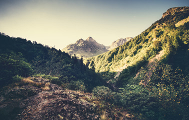 Landscape Mountains and forest in Abkhazia Summer Travel serene scenic morning view.