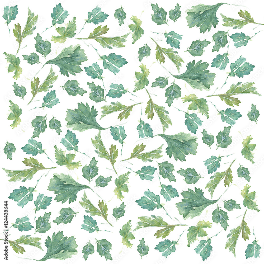 WATERCOLOR PARSLEY WREATH. Hand drawn sketch of plant. Watercolor ...
