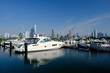 Urban marina and Chicago skyline