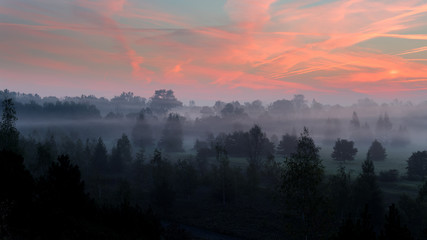 Strong morning fog above the park.