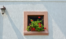 House Window With Potted Red Geranium Flowers