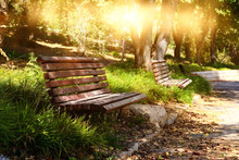 Old Lonely Bench In The Quiet Park At Sunset Light