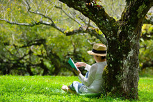 Middle Aged Woman Sitting Under A Tree Reading A Book In The Park