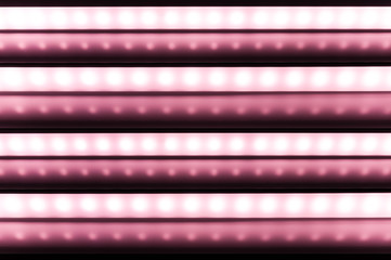 Wall Mural - colour of led rigid strip lighht : four of led light line on pink