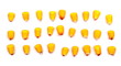  kernel corn isolated on white background