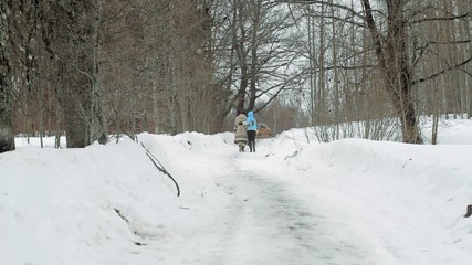 Poster - Walking in winter