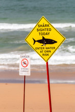 Shark Sighting Warning Sign On The Beach